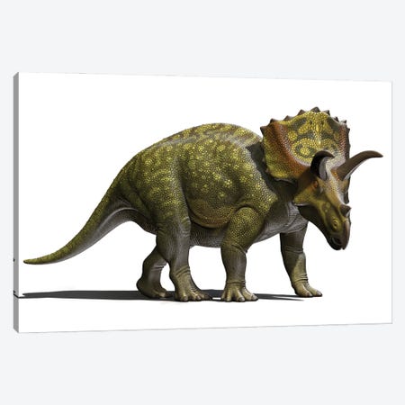 Ojoceratops Dinosaur On White Background Canvas Print #TRK3908} by Mohamad Haghani Canvas Wall Art