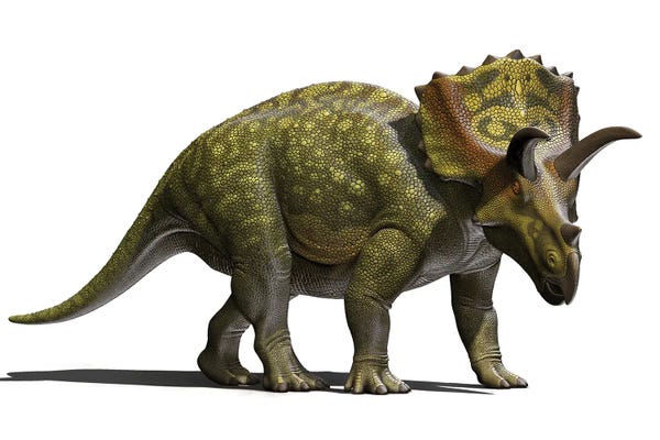 Prehistoric Animals: Ojoceratops Dinosaur On White Background by Mohamad Haghani