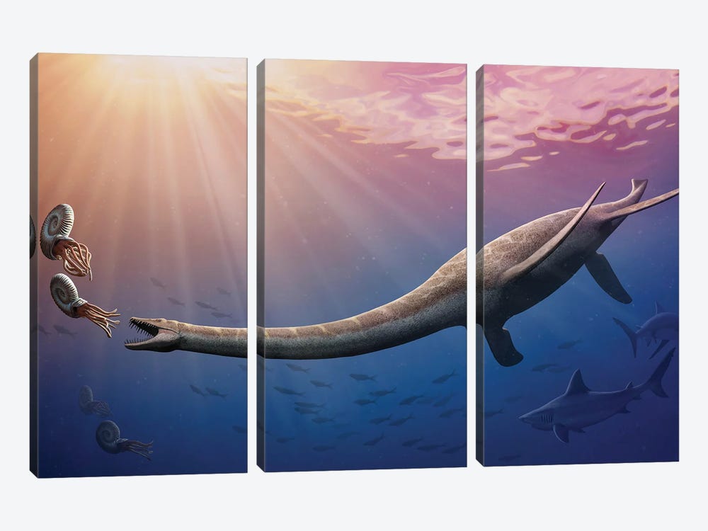 Plesiosaurus Dolichodeirus Hunting Ammonites by Mohamad Haghani 3-piece Canvas Art