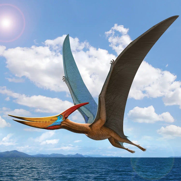 A Large Flying Reptile, Pteranodon, Flying Over The Ocean