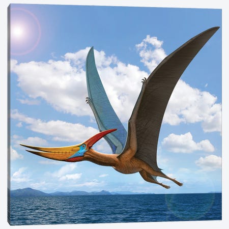 A Large Flying Reptile, Pteranodon, Flying Over The Ocean Canvas Print #TRK3910} by Mohamad Haghani Art Print