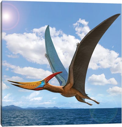 A Large Flying Reptile, Pteranodon, Flying Over The Ocean Canvas Art Print - Prehistoric Animal Art