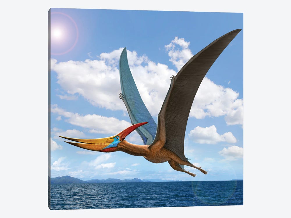 A Large Flying Reptile, Pteranodon, Flying Over The Ocean by Mohamad Haghani 1-piece Canvas Wall Art