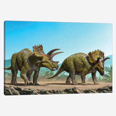 Two Ojoceratops Dinosaurs Walking To Find Some Food Canvas Print #TRK3914} by Mohamad Haghani Canvas Artwork
