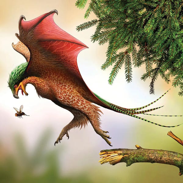 Prehistoric Animals: Yi Qi Hunting Flies by Mohamad Haghani