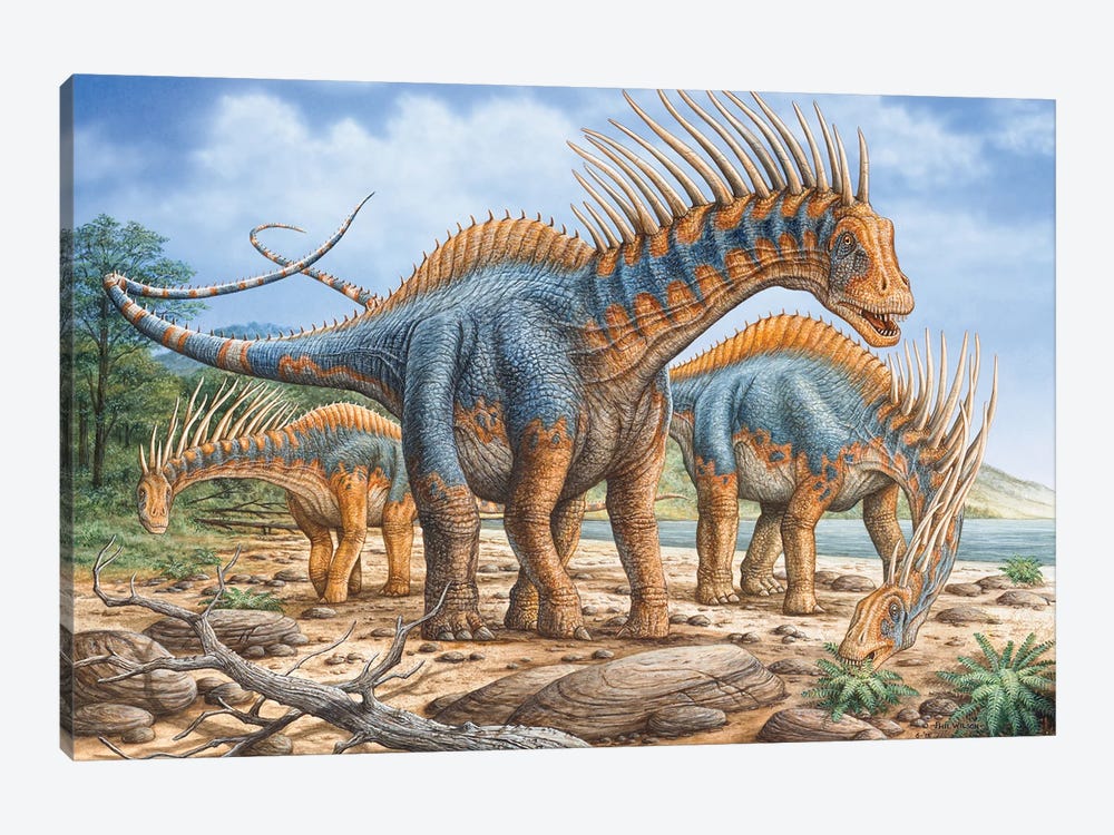 A Group Of Amargasaurus Dinosaurs Grazing On The Shoreline by Phil Wilson 1-piece Canvas Art Print
