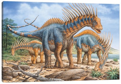 A Group Of Amargasaurus Dinosaurs Grazing On The Shoreline Canvas Art Print - Prehistoric Animal Art