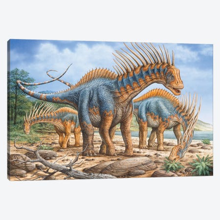 A Group Of Amargasaurus Dinosaurs Grazing On The Shoreline Canvas Print #TRK3919} by Phil Wilson Art Print
