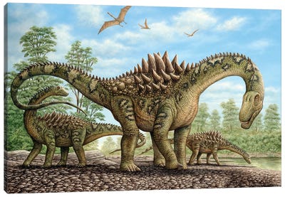Ampelosaurus Dinosaurs Grazing On The Shoreline Canvas Art Print