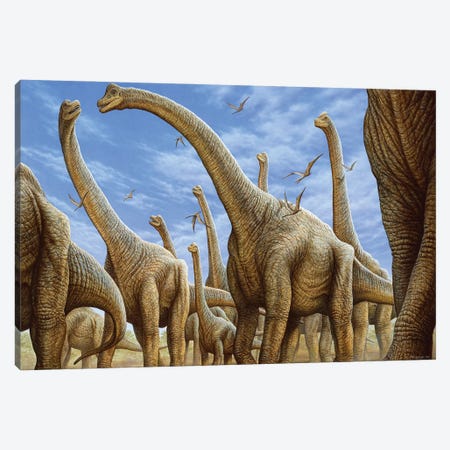 Brachiosaurus Herd On The Move Canvas Print #TRK3921} by Phil Wilson Canvas Wall Art