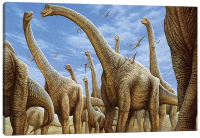 Brachiosaurus Herd On The Move Canvas Art Print
