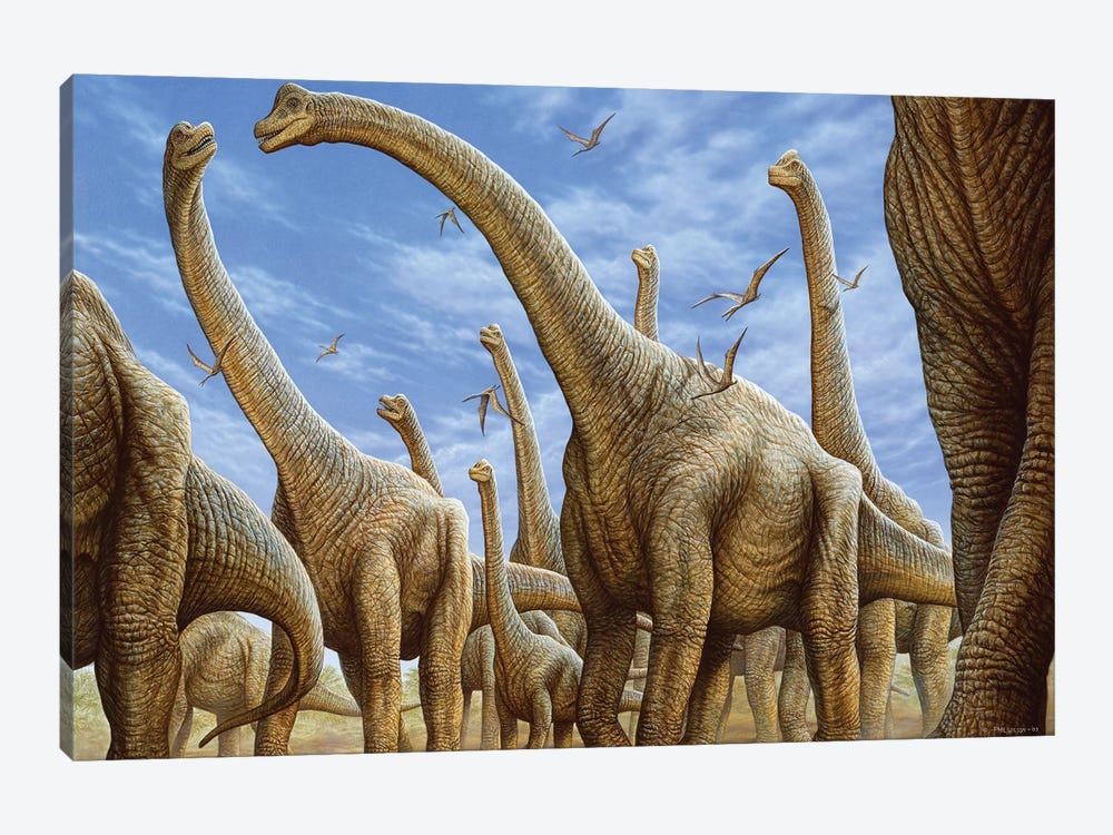 Brachiosaurus Herd On The Move by Phil Wilson 1-piece Canvas Art