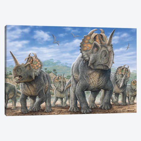A Herd Of Centrosaurus Dinosaurs Canvas Print #TRK3922} by Phil Wilson Canvas Art