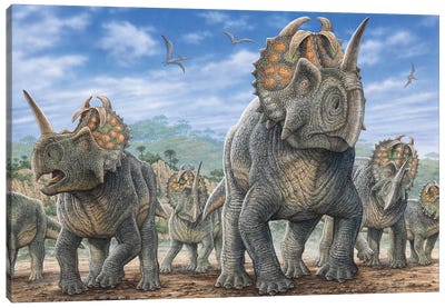 A Herd Of Centrosaurus Dinosaurs Canvas Art Print - Dinosaur Art