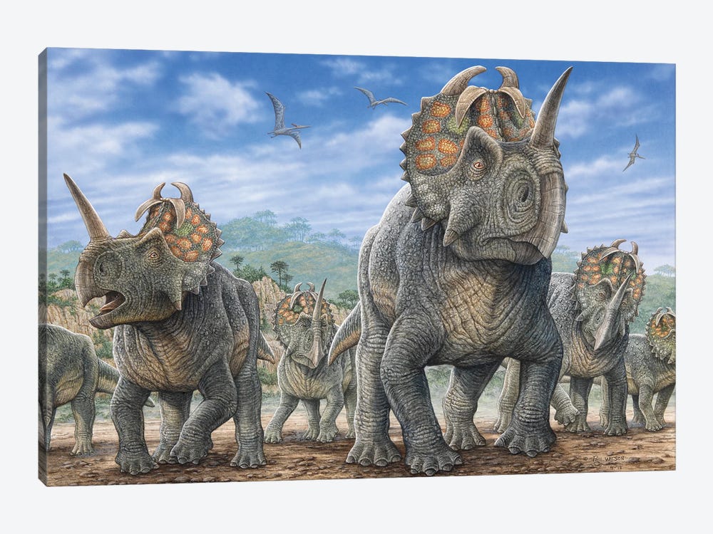 A Herd Of Centrosaurus Dinosaurs by Phil Wilson 1-piece Canvas Print