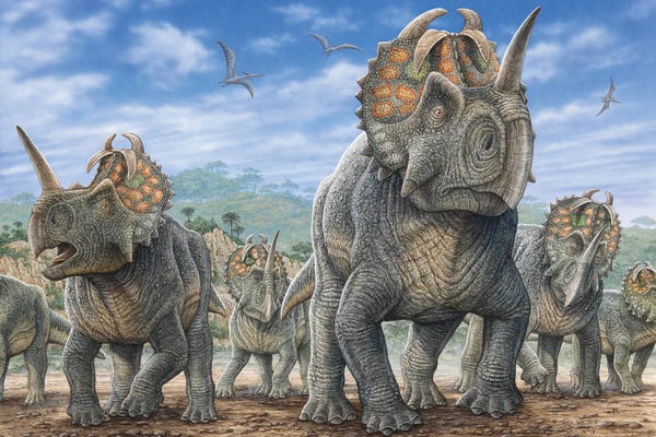 Prehistoric Animals: A Herd Of Centrosaurus Dinosaurs by Phil Wilson