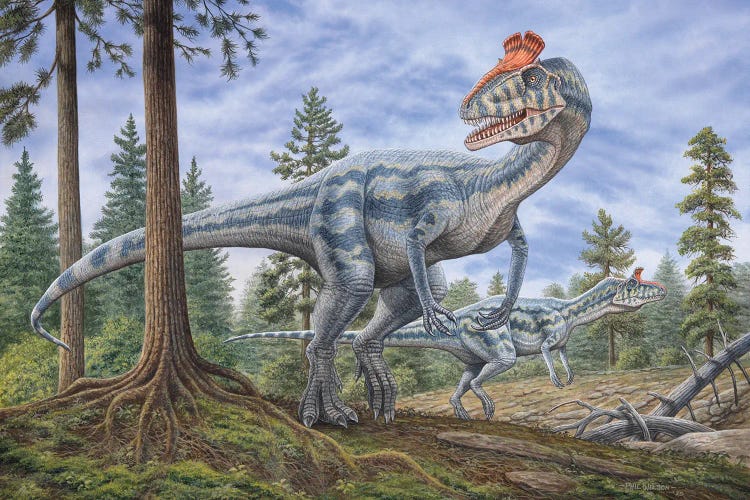 Cryolophosaurus Dinosaurs Hunting For Prey In A Prehistoric Environment