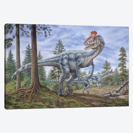 Cryolophosaurus Dinosaurs Hunting For Prey In A Prehistoric Environment Canvas Print #TRK3923} by Phil Wilson Canvas Artwork