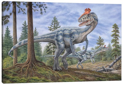 Cryolophosaurus Dinosaurs Hunting For Prey In A Prehistoric Environment Canvas Art Print