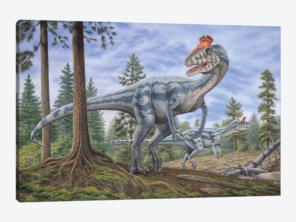 Cryolophosaurus Dinosaurs Hunting For Prey In A Prehistoric Environment by Phil Wilson 1-piece Canvas Wall Art