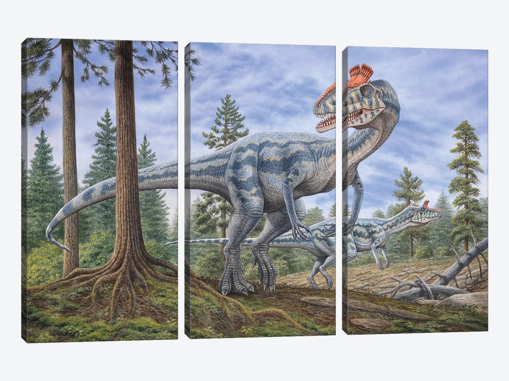 Cryolophosaurus Dinosaurs Hunting For Prey In A Prehistoric Environment by Phil Wilson 3-piece Canvas Artwork