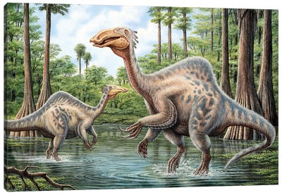 Two Deinocheirus Grazing The Inhabited Wetlands Of The Cretaceous Period Canvas Art Print