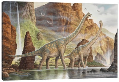 A Pair Of Giraffatitan Walking In A Valley River Canvas Art Print