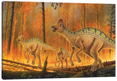 Hypacrosaurus Dinosaurs Flee A Burning Forest Canvas Art Print