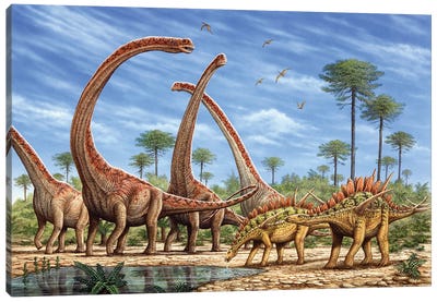 Mamenchisaurus Herd And A Pair Of Huayangosaurus Roaming By A Stream Canvas Art Print - Dinosaur Art
