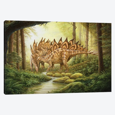 A Pair Of Stegosaurus Dinosaurs In A Prehistoric Forest Canvas Print #TRK3931} by Phil Wilson Art Print