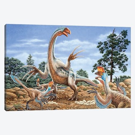 Therizinosaurus Defends Its Nest From A Group Of Oviraptors Canvas Print #TRK3932} by Phil Wilson Canvas Print