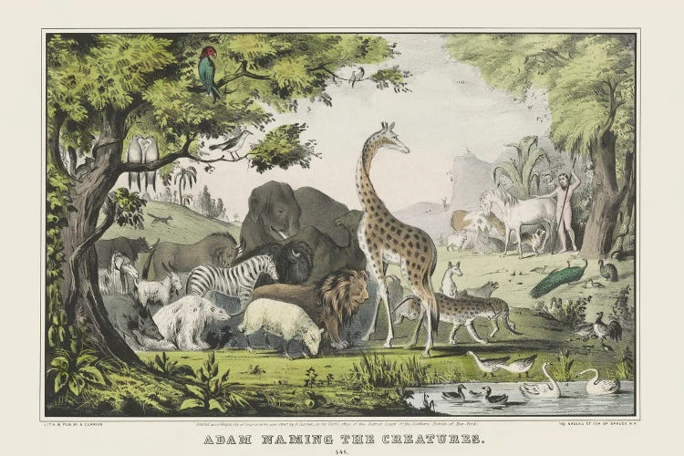 Adam Naming The Creatures In The Garden Of Eden, From The Book Of Genesis