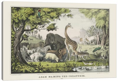 Adam Naming The Creatures In The Garden Of Eden, From The Book Of Genesis Canvas Art Print
