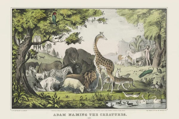 Vintage Animal Illustrations: Adam Naming The Creatures In The Garden Of Eden, From The Book Of Genesis by Stocktrek Images