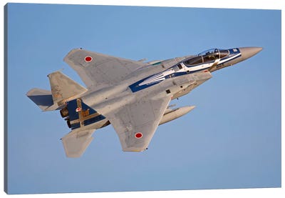 F-15J Eagle Of The Japan Air Self-Defense Force Canvas Art Print