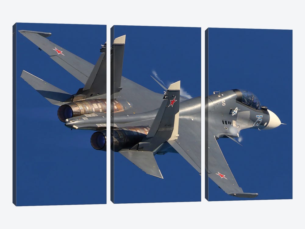 A Su-30Sm Jet Fighter Of The Russian Air Force by Artem Alexandrovich 3-piece Canvas Art