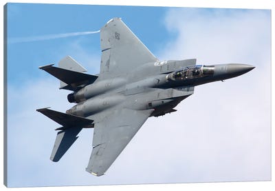 An F-15E Strike Fighter Of The United States Air Force In Flight II Canvas Art Print