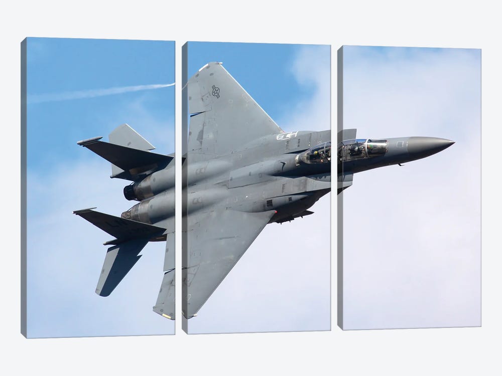 An F-15E Strike Fighter Of The United States Air Force In Flight II by Artem Alexandrovich 3-piece Canvas Art