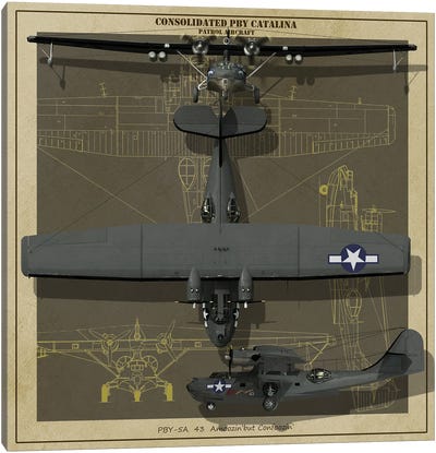 A Pby Catalina Patrol Aircraft Canvas Art Print - Military Aircraft Art