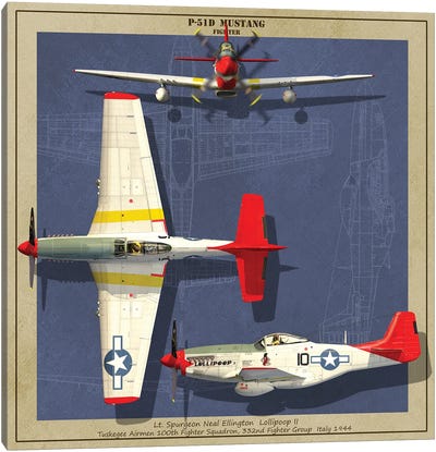 P-51D Mustang Fighter Plane Of World War II Canvas Art Print - Military Aircraft Art