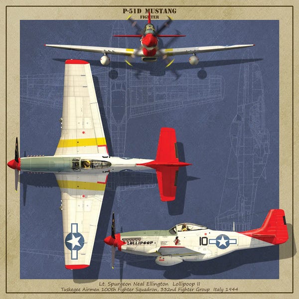 Kurt Miller: P-51D Mustang Fighter Plane Of World War II by Kurt Miller