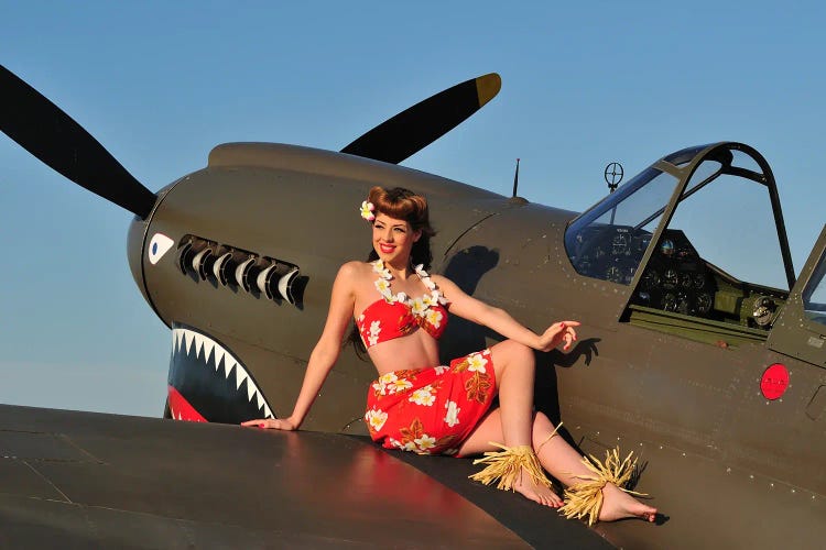 Hawaiian Beauty Sitting On Top Of A P-40 Warhawk Aircraft