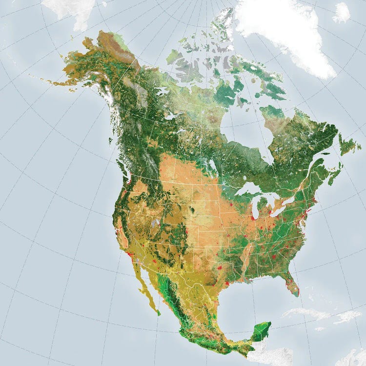 Satellite-Derived Map Showing The Distribution Of 19 Land Cover Types Across The North America In 2015