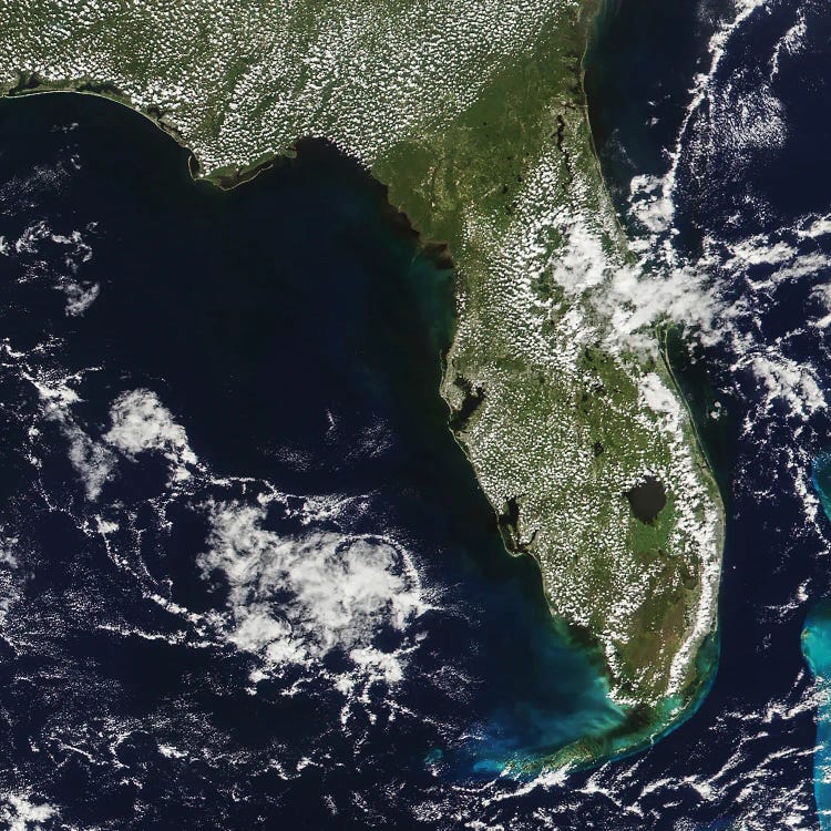 Satellite View Of Florida's Big Bend Area