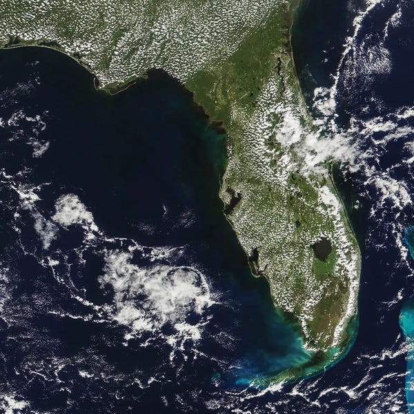 Satellite View Of Florida's Big Bend Area