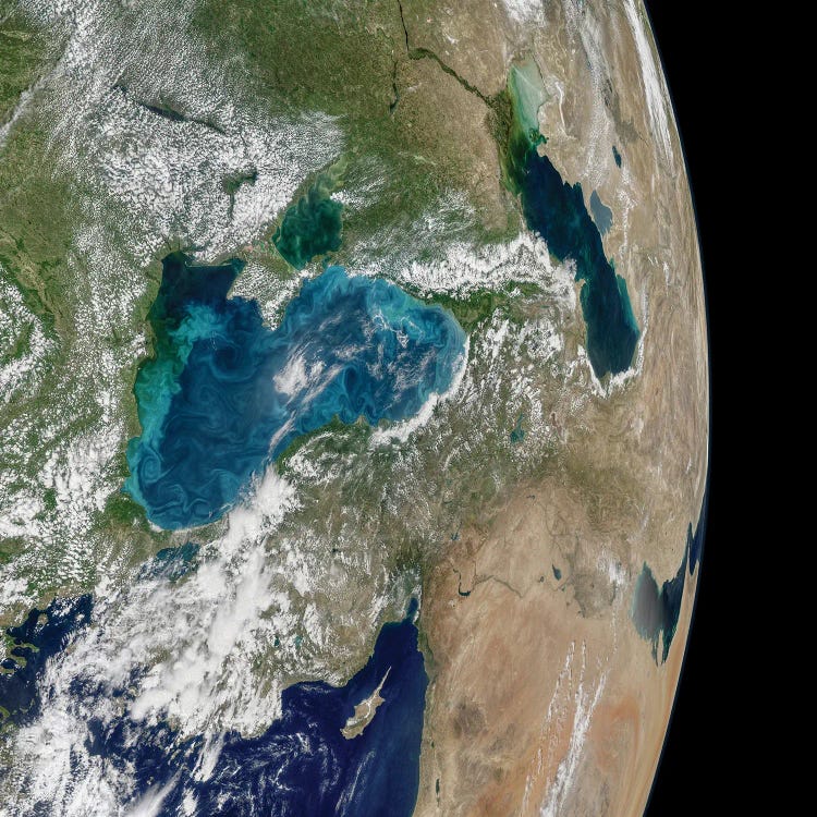 Mosaic Of Planet Earth Showing Phytoplankton Bloom In The Black Sea
