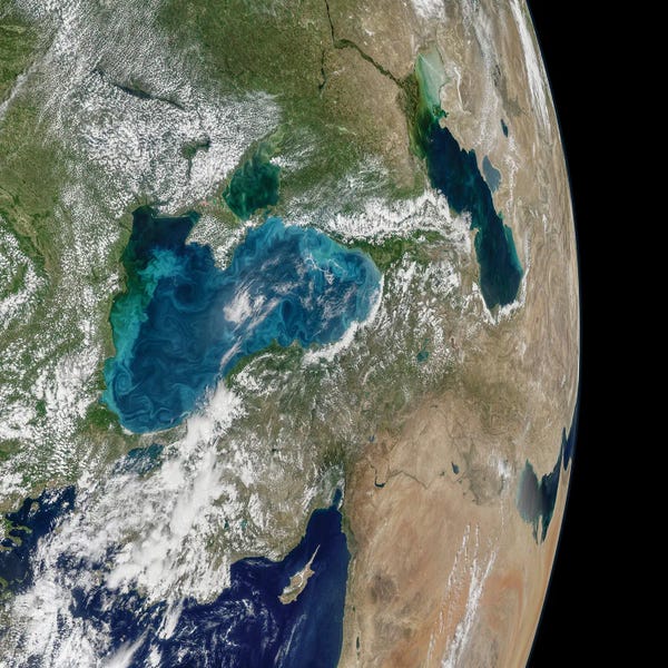 Astronomy & Space Collection: Mosaic Of Planet Earth Showing Phytoplankton Bloom In The Black Sea by Stocktrek Images