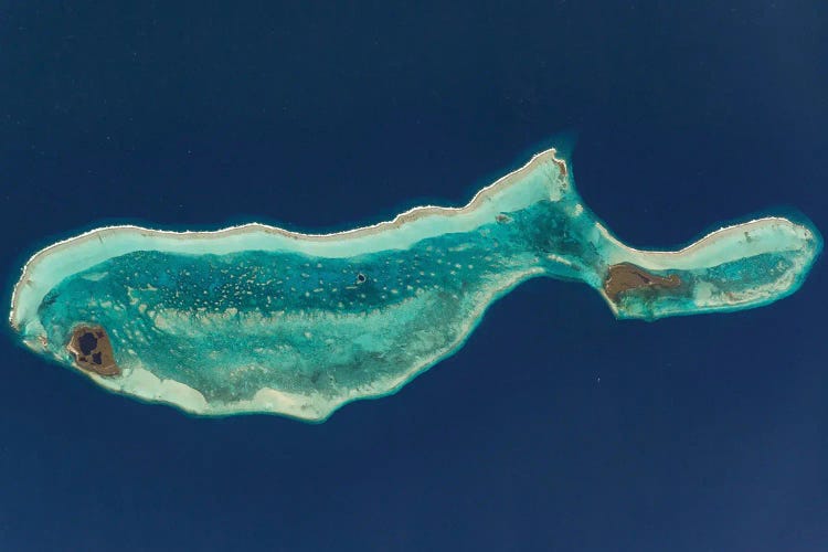 View From Space Of The Great Blue Hole Near The Center Of Lighthouse Reef Atoll by Stocktrek Images wall art