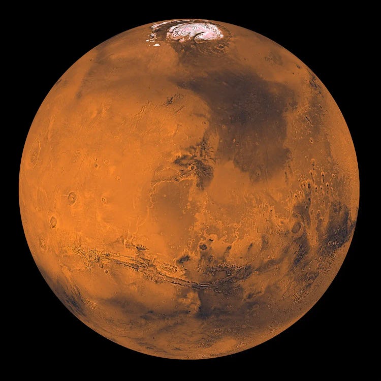 Global Color View Of Mars. by Stocktrek Images wall art
