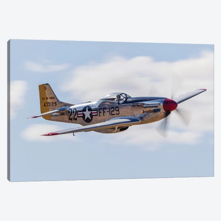 A P-51 Mustang Flies By At Vacaville, California Canvas Print #TRK436} by Rob Edgcumbe Canvas Print